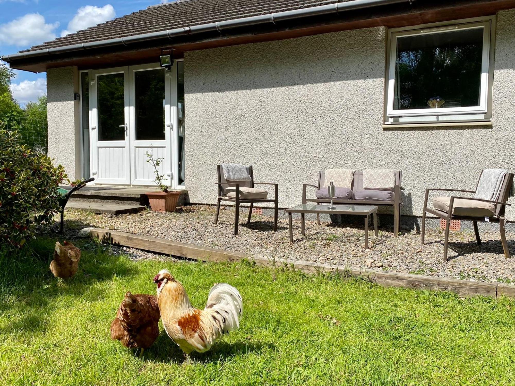 Homestead Cottage, Fort Augustus Kültér fotó